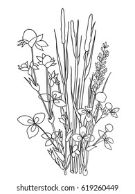 Picture of field flowers and grasses in lines. Vector