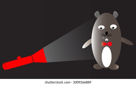 picture of a flashlight and a tie mouse at night