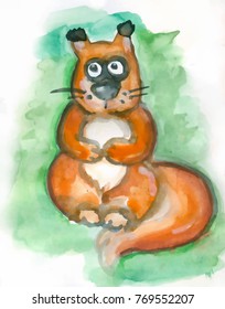 the picture forest squirrel