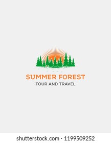 Picture of a forest and summer sunshine.