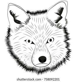 Picture of a fox head for retro logos, emblems, badges, labels template vintage design element. Isolated on white background
