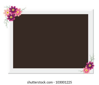 picture frame with cosmoses