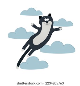 a picture of a funny fat cat