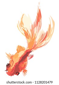 Picture of a goldfish. Vector