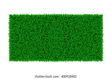 picture of grass