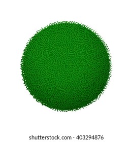 picture of grass
