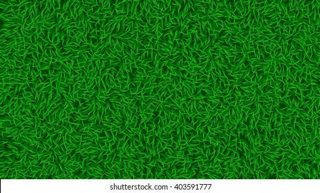 picture of grass