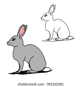 Picture of grey rabbit and its outline