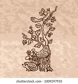 Picture of a hedgehog and squirrels in the forest