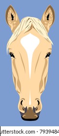 Picture of a horse's head