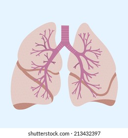 picture of human lungs, flat style icon