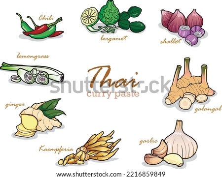 Picture of ingredients of Thai curry paste, herbs, healthy food.