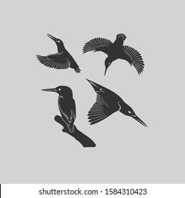 the picture is a kingfisher bird in the air