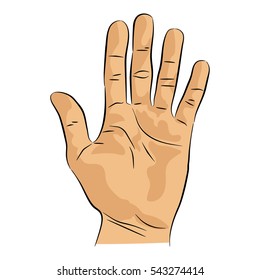 Picture Left Hand Open Palm Stock Vector (Royalty Free) 543274414 ...