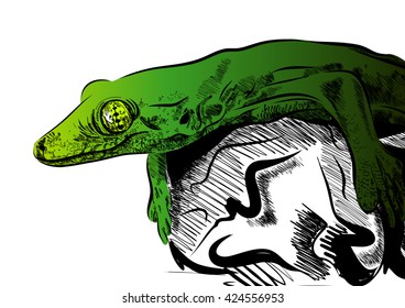 Picture with lizard vector. Graphics on white background