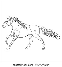 Picture of outline horse for coloring