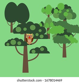 Picture of an owl in the garden on a tree. Green garden, for illustration.