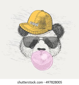 picture of Panda in the cap, the glasses with the blown bubble gum
