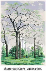 Picture of park urban nature, trees, recreation of people. Art presentation, design template. Oak grove, Kyiv, recreation park. Background, screensaver. Banner, magazine, interior. Vector illustration