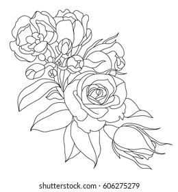 Picture Peony Flowers Lines Vector Stock Vector (Royalty Free ...