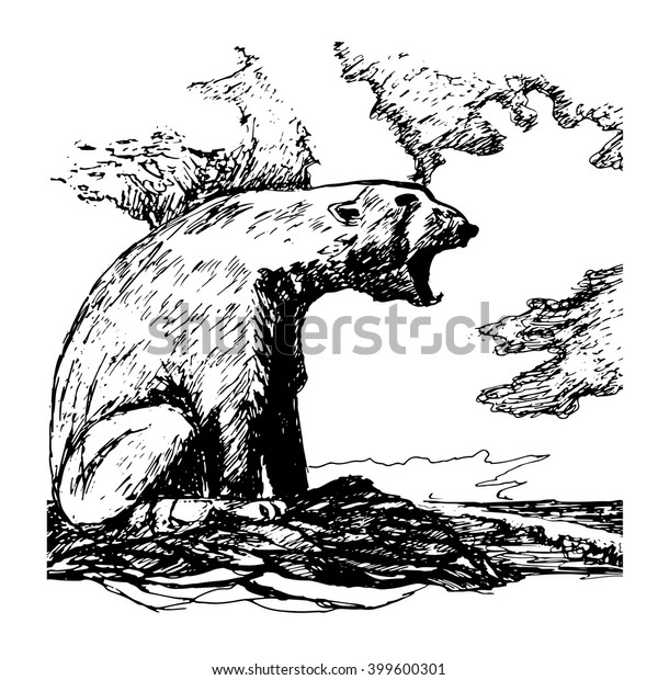 Picture Polar Bear Growls Loudly On Stock Vector (Royalty Free ...