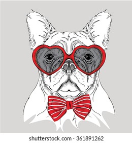 Picture of portrait of a dog with the heart shaped glasses.  Vector illustration.