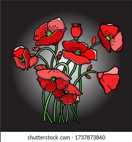 Picture. Red poppies on a black background. Vector illustration.