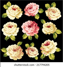 picture of rose