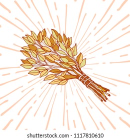 The picture for the Russian bath. Birch whisks for the sauna. Logo for the bath company. Place for your text. Hand drawing on the background of radial rays. Template printing design bath services