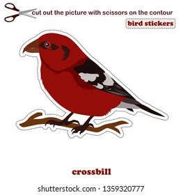 picture scissor for children with crossbill 