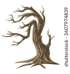 Picture set of big trees without leaves , dead old trees on ,White background 
