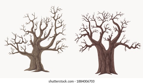 Picture set of big trees without leaves , dead old trees on ,White background ,vector illustration