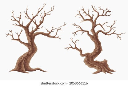 Picture set of big trees without leaves , dead old trees on ,White background ,vector illustration