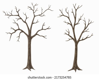 Picture set of big trees without leaves , dead old trees on ,White background ,vector illustration