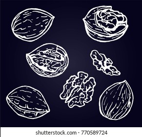 Picture of a set of walnuts, white on a black background.