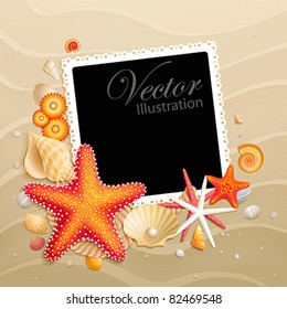 Picture, shells and starfishes on sand background. Vector illustration.