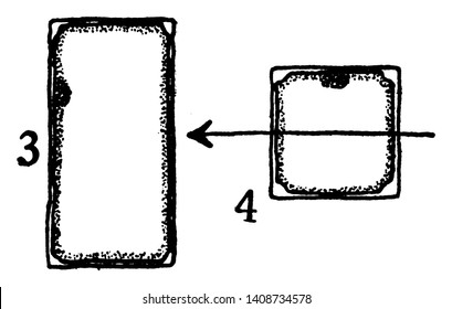 Uma imagem mostrando o terceiro e quarto estágios de desenvolvimento do colênquima. As paredes no quarto estágio começaram a engrossar nos ângulos, vintage desenho de linha ou gravura ilustração.