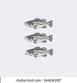 the picture shows a fish bass