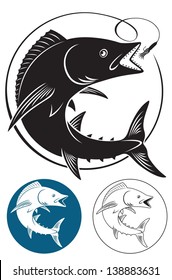 The picture shows the king mackerel