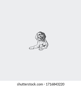 The picture shows a Kurzhaar puppy