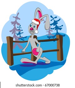 The picture shows a rabbit