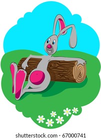 The picture shows a rabbit