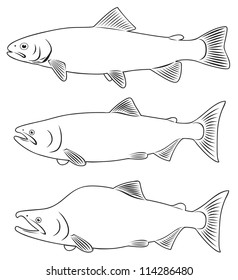 The picture shows red fish