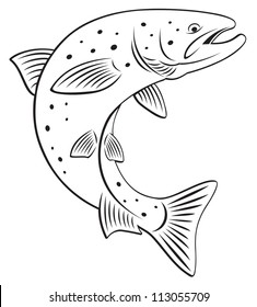 The picture shows the salmon