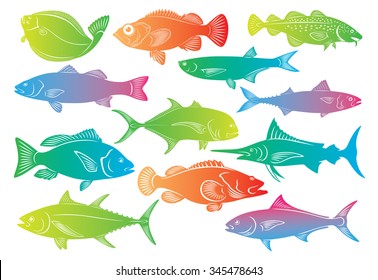 The picture shows a set of marine fish