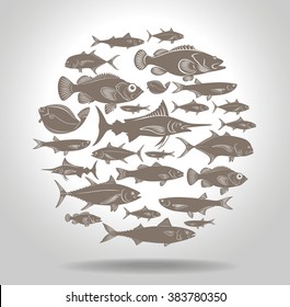 The picture shows a set of marine fish logo