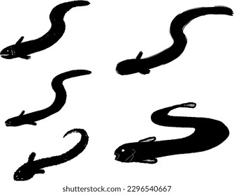 a picture of the silhouette of an eel
Vector, black and white