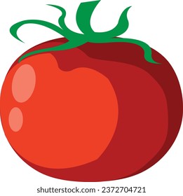 Picture of a simple tomato isolated on white background