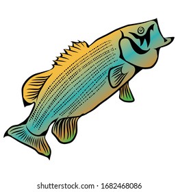 a picture of small mouth bass