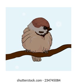 picture of a sparrow
